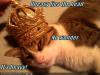 King TemminCat